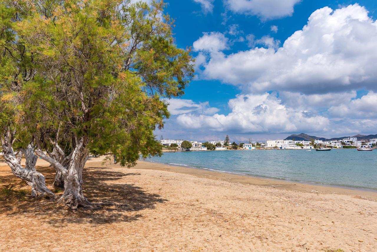 Villa Del Mar Поллонія Екстер'єр фото